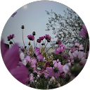 Séverine M. profile picture